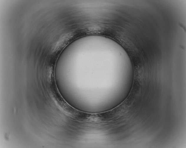 X0000103280742200809121945