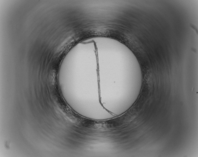 X0000103280744200809121945