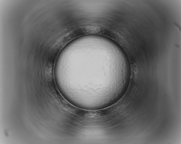 X0000103280745200809121945