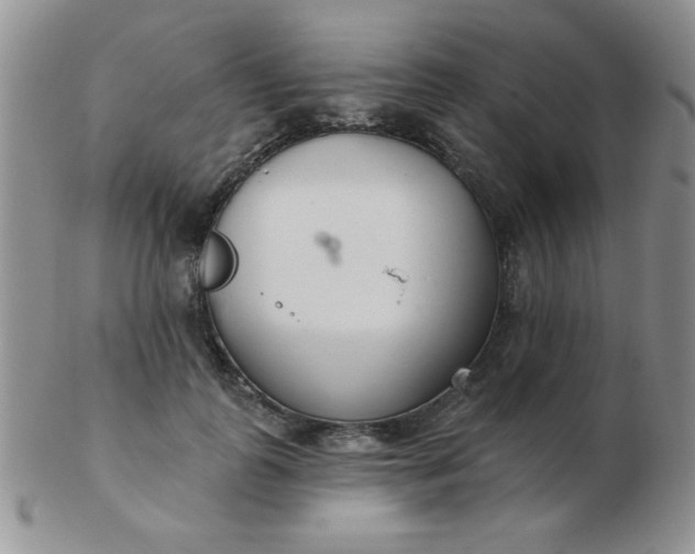 X0000103280747200809121945