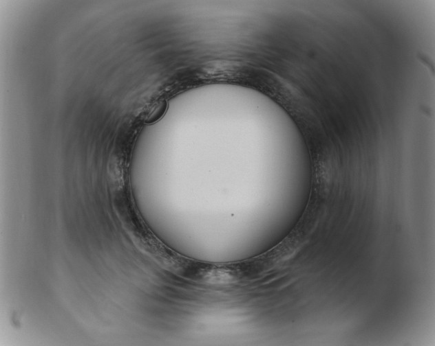 X0000103280751200809121945