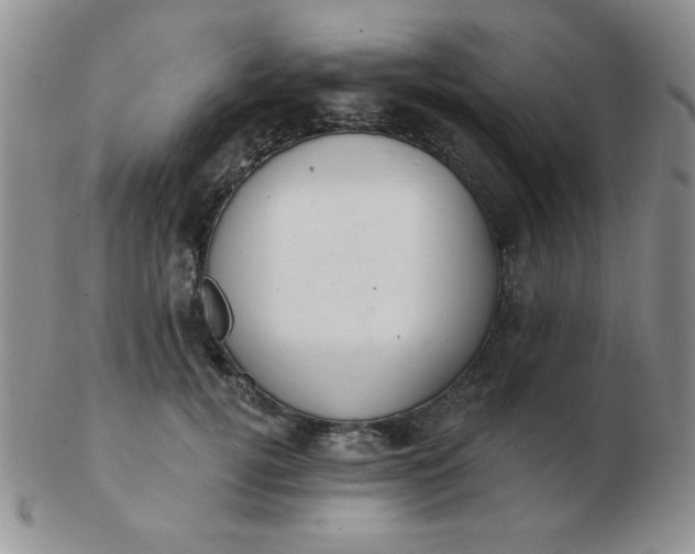 X0000103280752200809121945