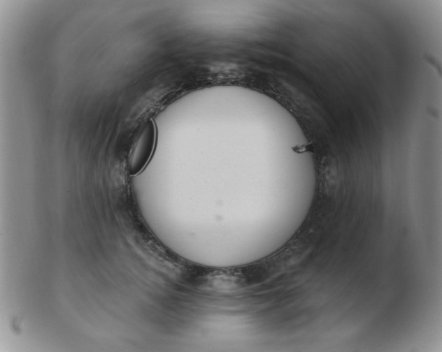 X0000103280756200809121945