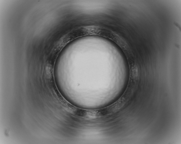 X0000103280757200809121945