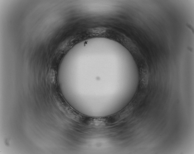 X0000103280758200809121945