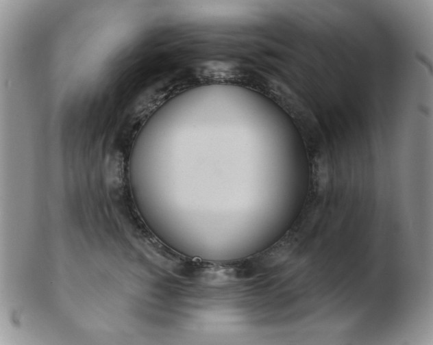 X0000103280760200809121945