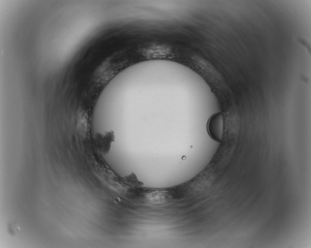 X0000103280761200809121945