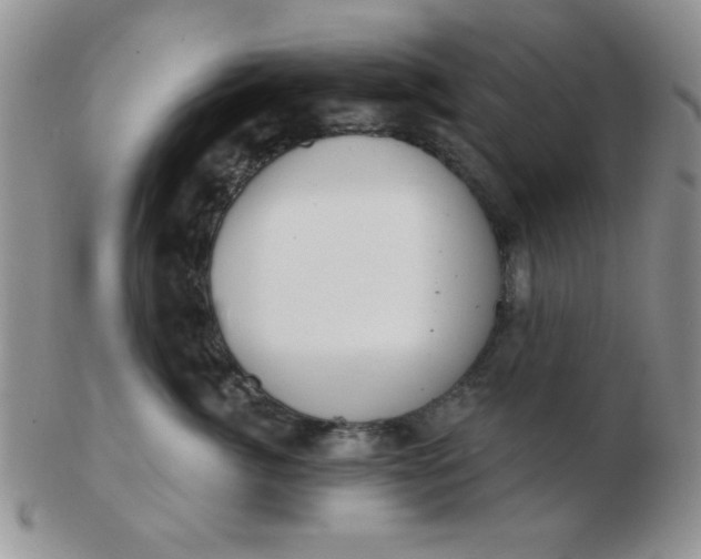 X0000103280764200809121945