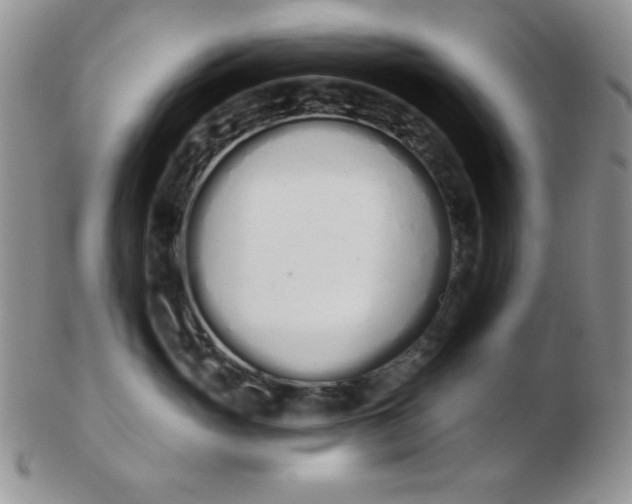 X0000103280765200809121945