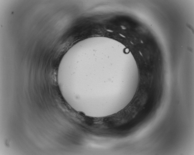 X0000103280766200809121945