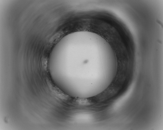 X0000103280767200809121945