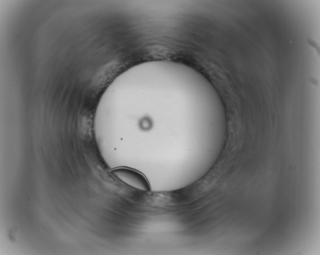 X0000103280768200809121945