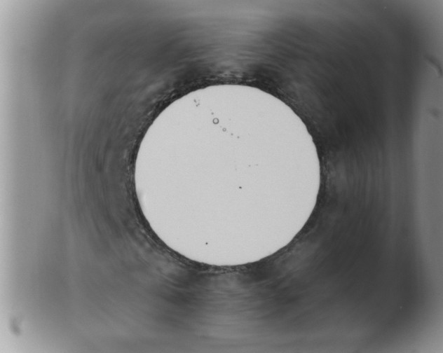 X0000103280769200809121944