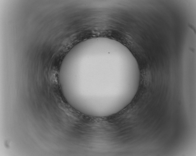 X0000103280770200809121944