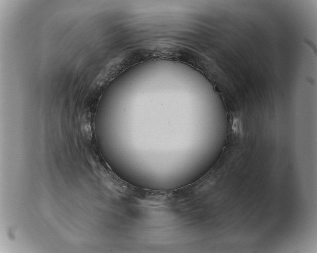 X0000103280771200809121944