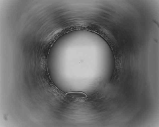 X0000103280773200809121944