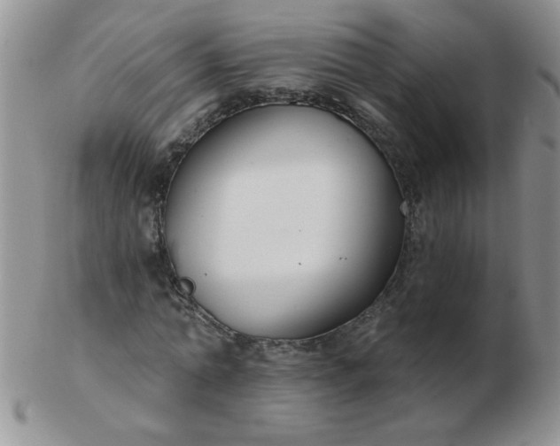 X0000103280774200809121944