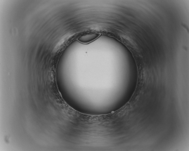 X0000103280776200809121944