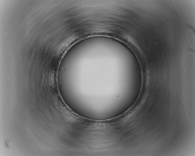 X0000103280777200809121944