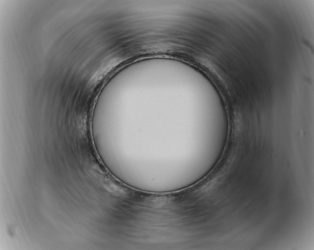 X0000103280778200809121944