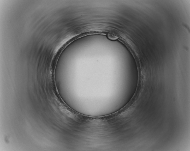 X0000103280779200809121944