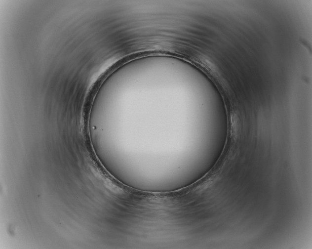 X0000103280780200809121944