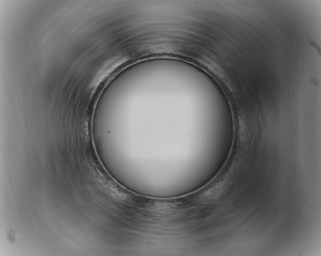 X0000103280782200809121944