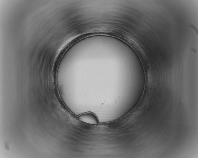 X0000103280784200809121944