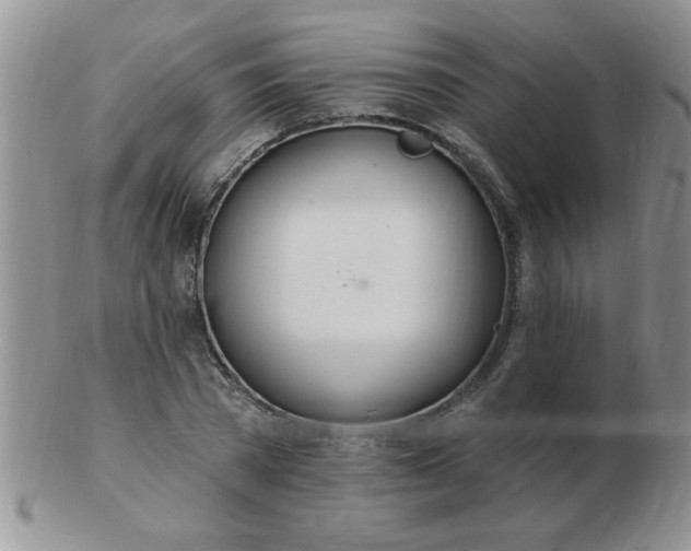 X0000103280785200809121944