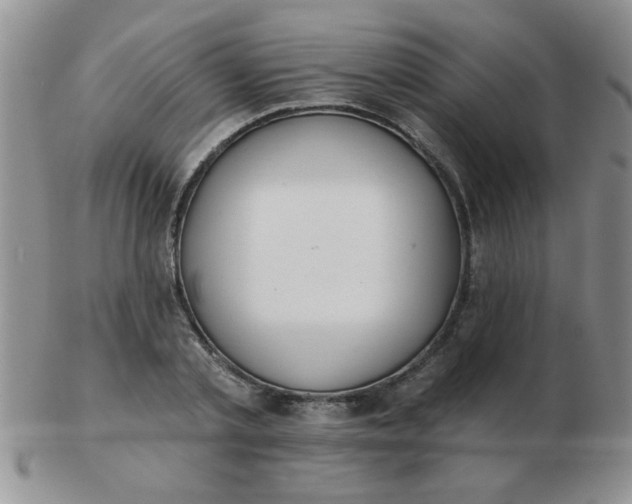 X0000103280789200809121944