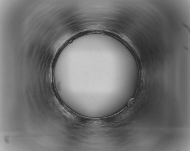 X0000103280791200809121944