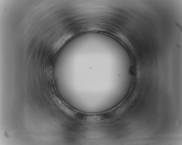 X0000103280793200809121944