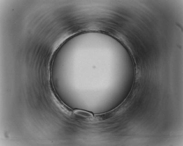 X0000103280795200809121944