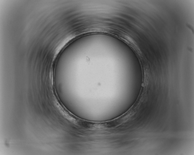 X0000103280796200809121944