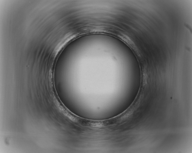 X0000103280798200809121944