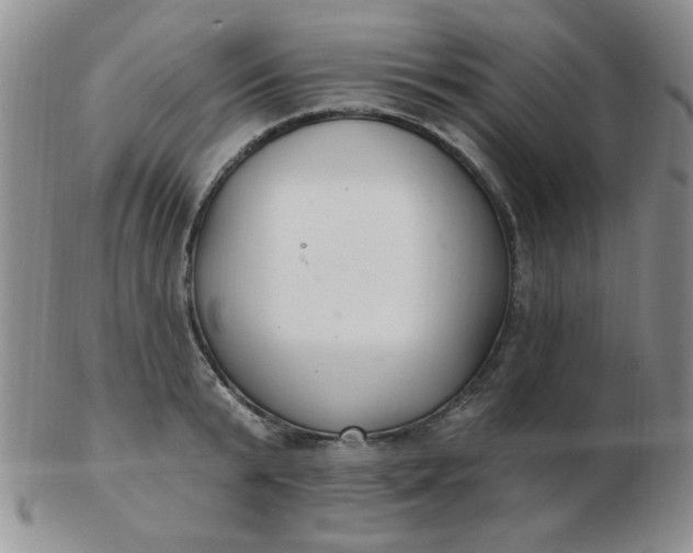 X0000103280799200809121944