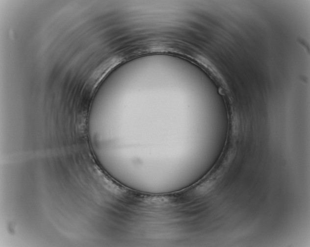 X0000103280801200809121944