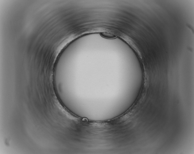 X0000103280805200809121944