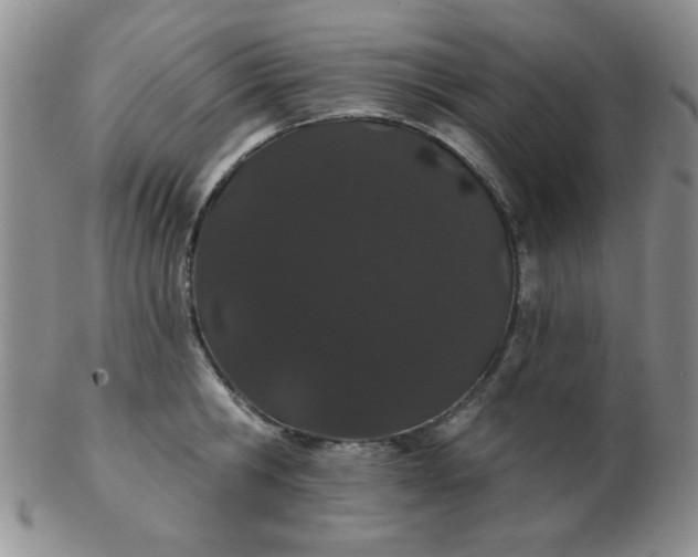 X0000103280806200809121944