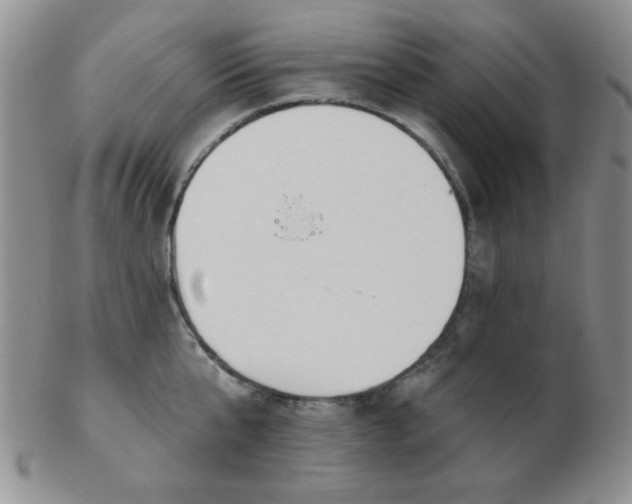 X0000103280807200809121944