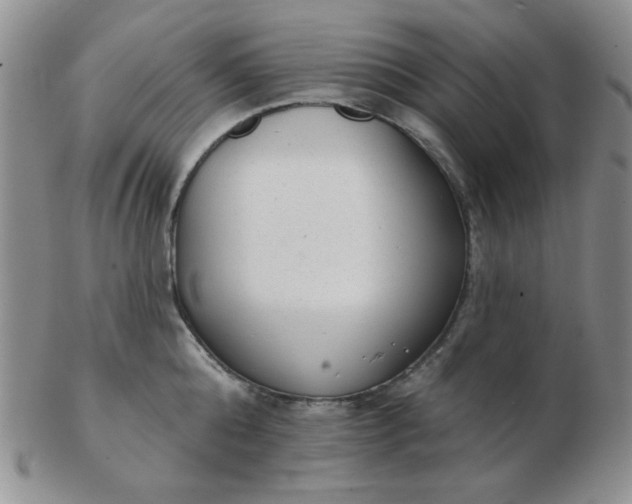 X0000103280808200809121944