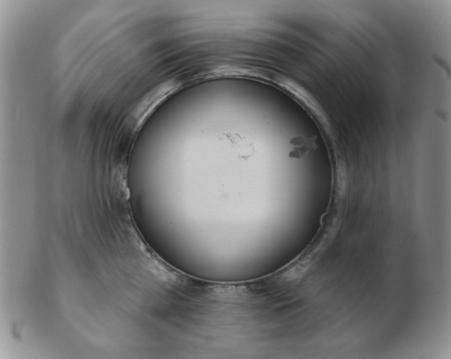 X0000103280809200809121944