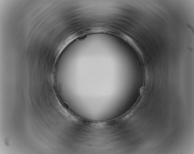 X0000103280810200809121944