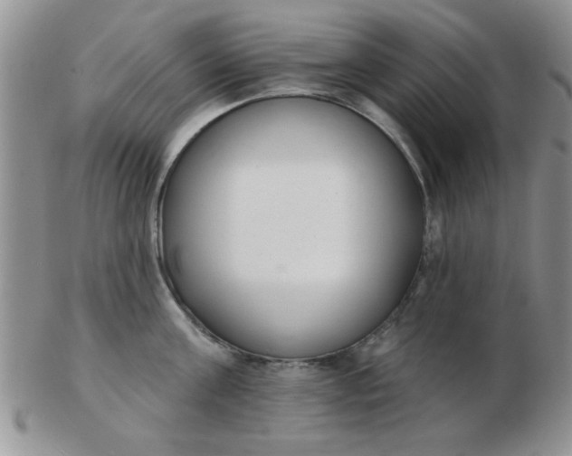 X0000103280811200809121944