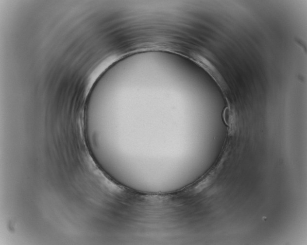 X0000103280812200809121944