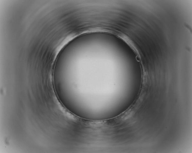 X0000103280813200809121944