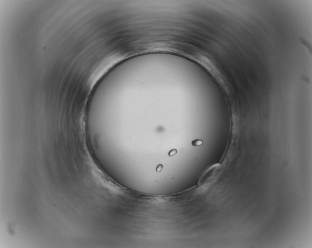 X0000103280814200809121944