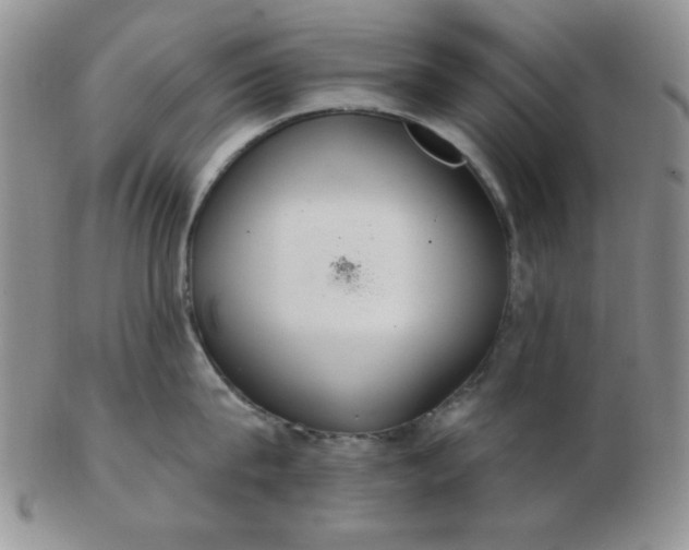 X0000103280815200809121944