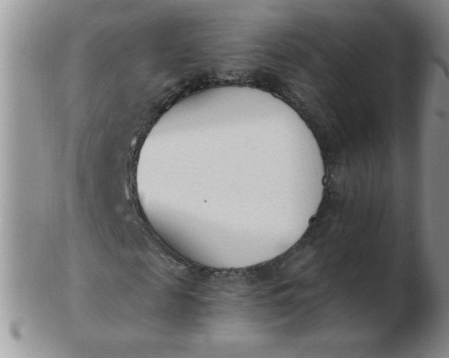 X0000103280817200809121943