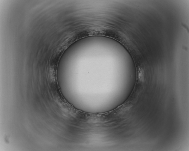 X0000103280819200809121943